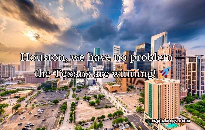 Houston Texans Puns and Jokes