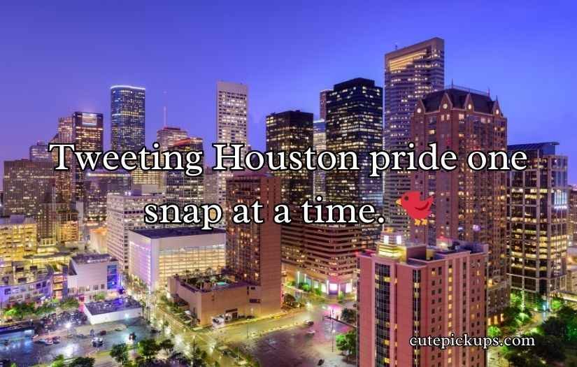 Houston Texans Puns and Jokes