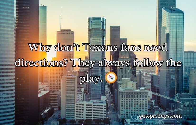 Houston Texans Puns and Jokes