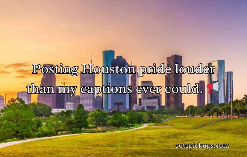 Houston Texans Puns and Jokes