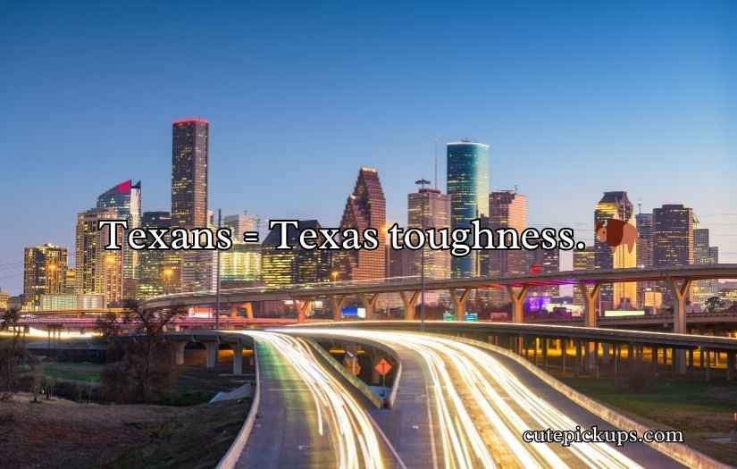 Houston Texans Puns and Jokes