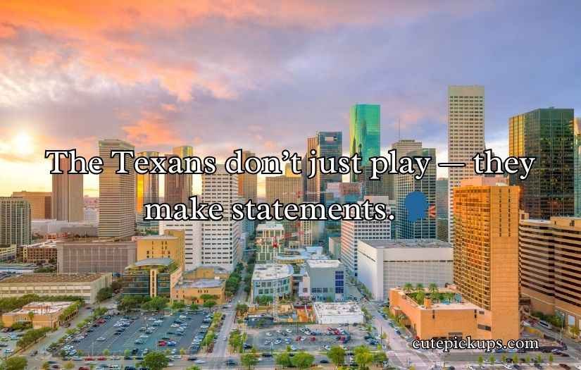 Houston Texans Puns and Jokes