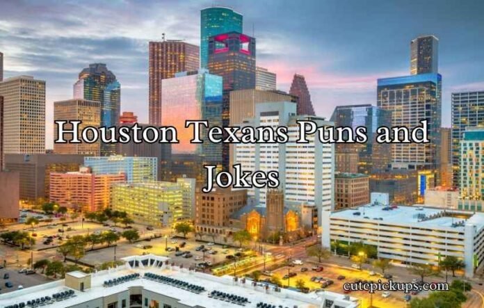 Houston Texans Puns and Jokes