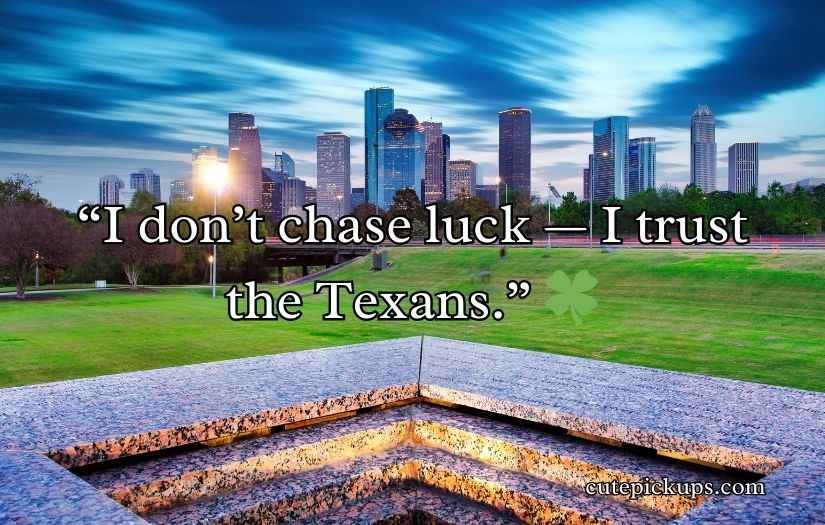 Houston Texans Puns and Jokes