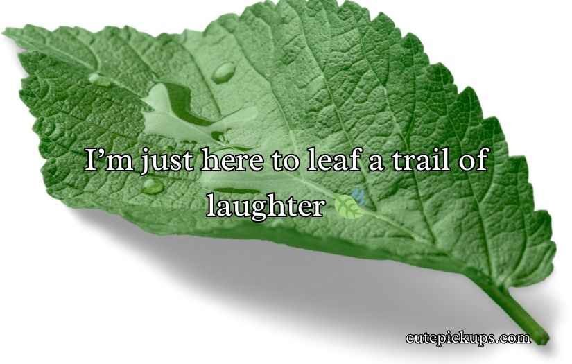 Leaf Puns