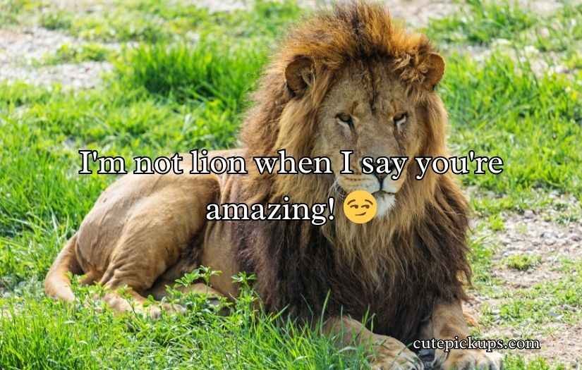 Lion Puns