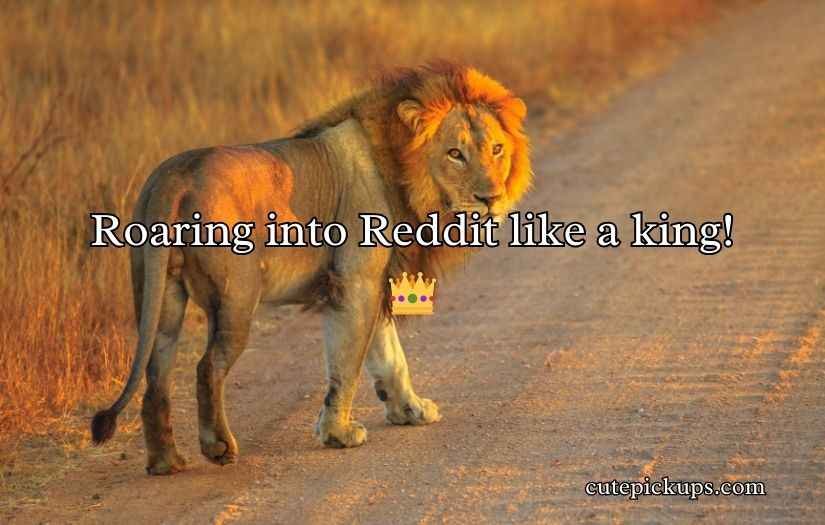 Lion Puns