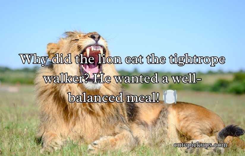 Lion Puns