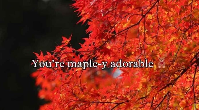 Maple Puns Maple Puns