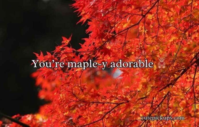 Maple Puns