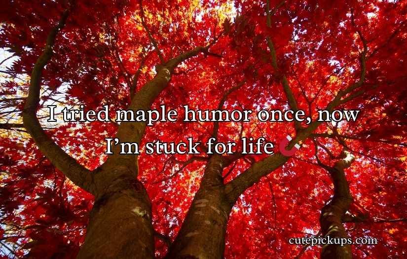 Maple Puns