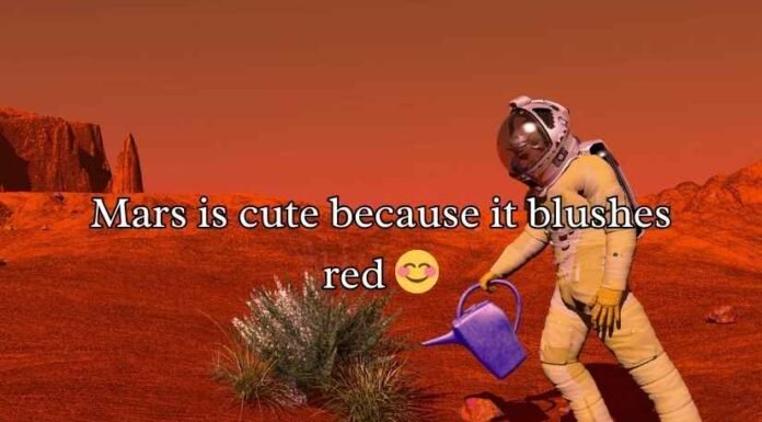 Mars Puns Mars Puns