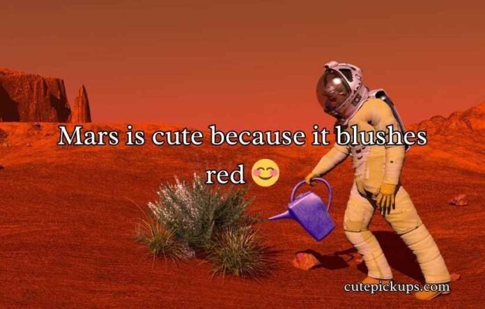 Mars Puns