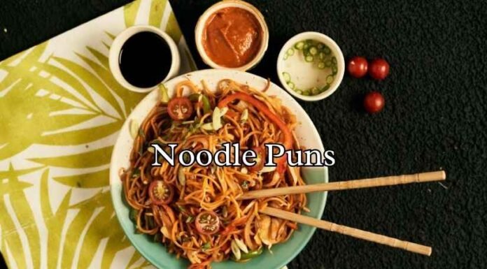 Noodle Puns Noodle Puns