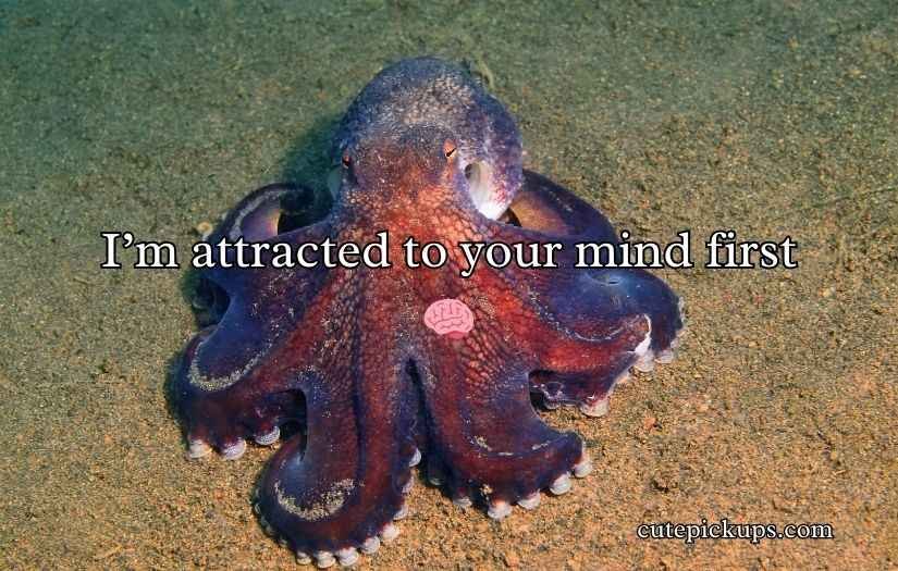 Octopus Pickup Lines