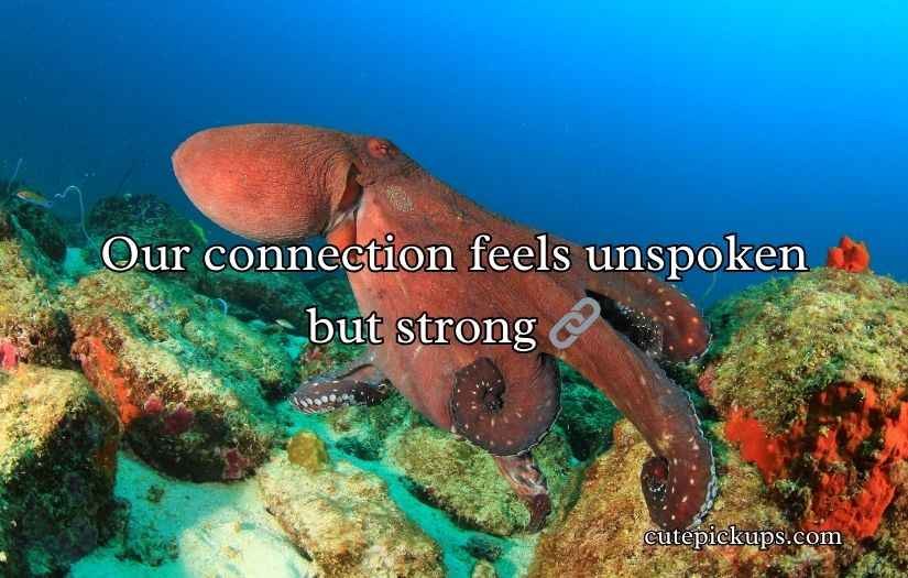 Octopus Pickup Lines