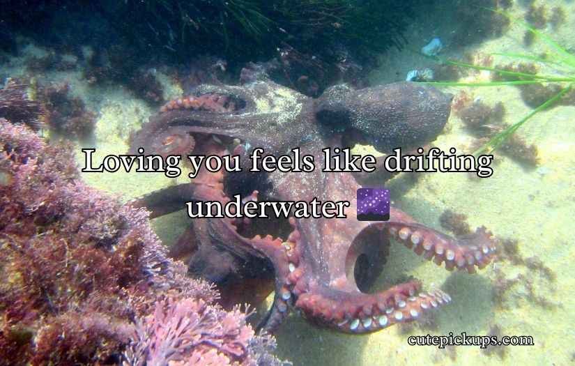 Octopus Pickup Lines