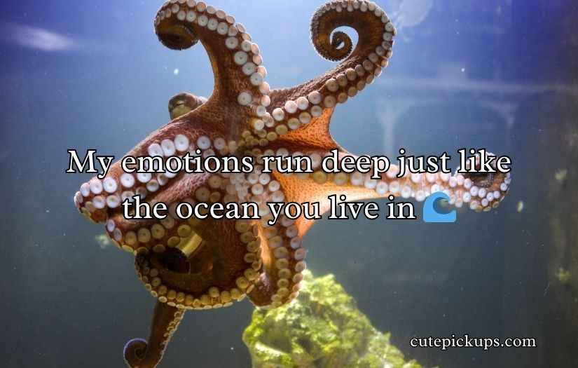 Octopus Pickup Lines