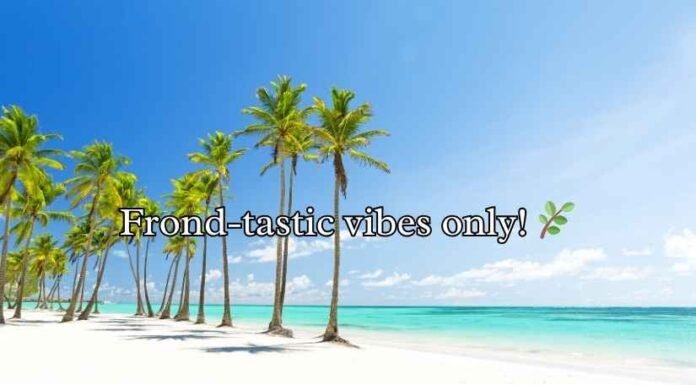 Palm Tree Puns Palm Tree Puns