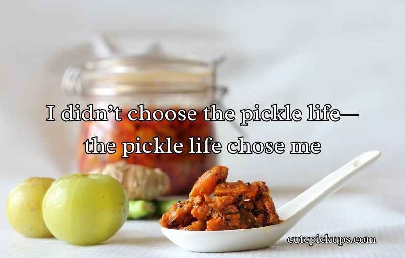 Pickle Puns