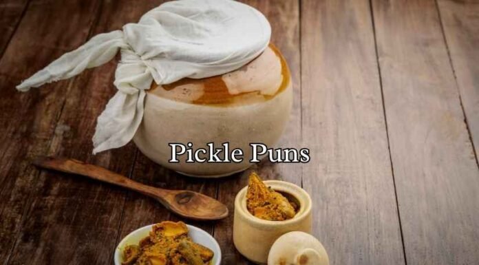 Pickle Puns Pickle Puns