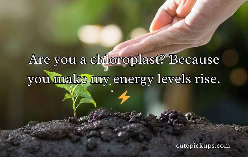 Plant PickUp Lines