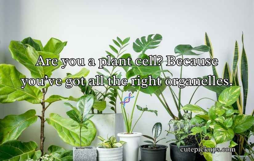 Plant PickUp Lines