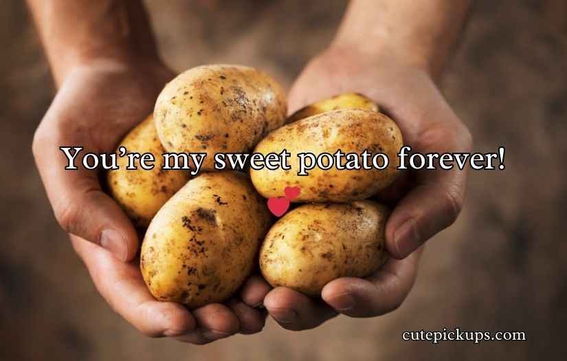 Potato Puns