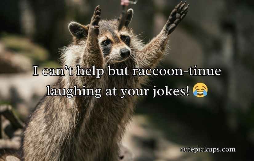 Raccoon Puns Jokes Humor