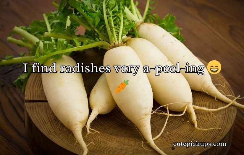 Radish Puns