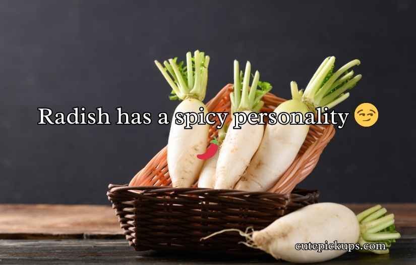 Radish Puns