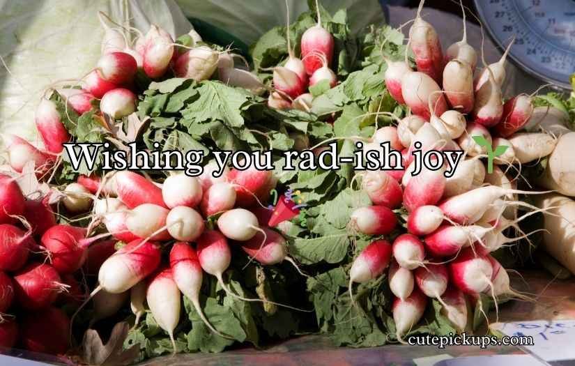 Radish Puns