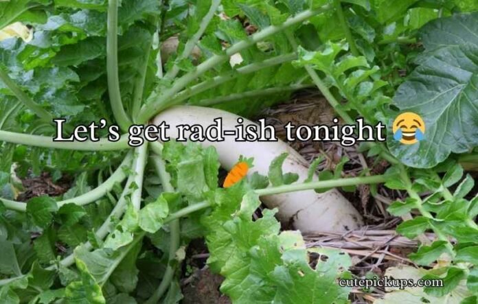 Radish Puns