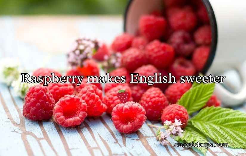 Raspberry Puns