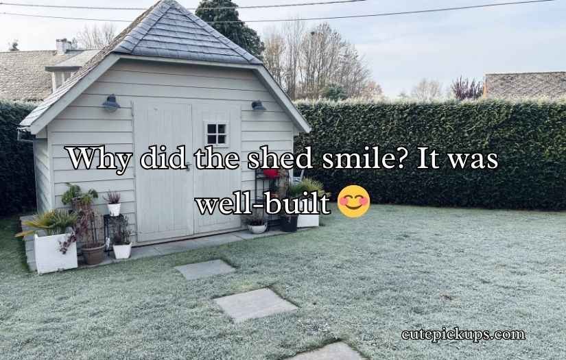 Shed Jokes Puns