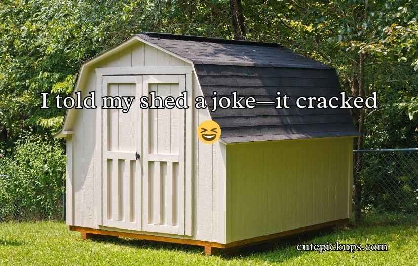 Shed Jokes Puns