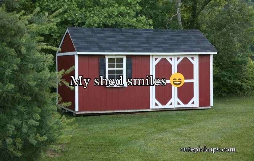 Shed Jokes Puns