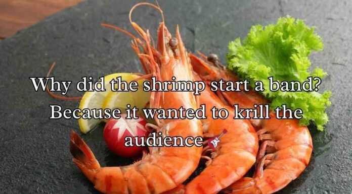 Shrimp Puns and Jokes Shrimp Puns and Jokes