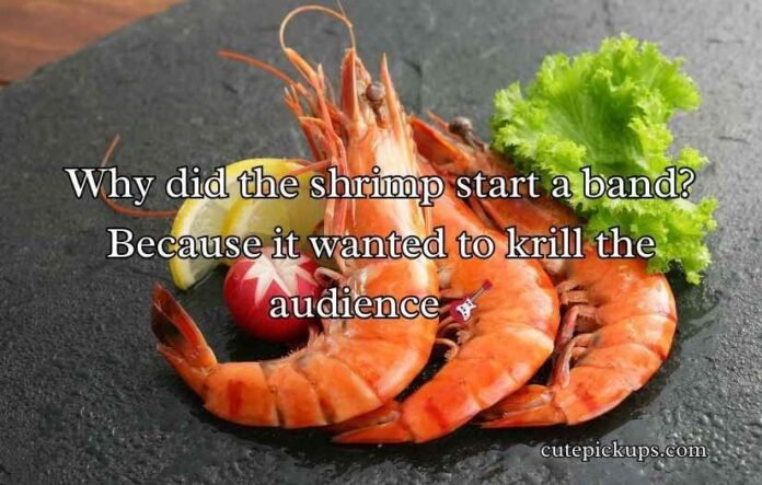 Shrimp Puns and Jokes