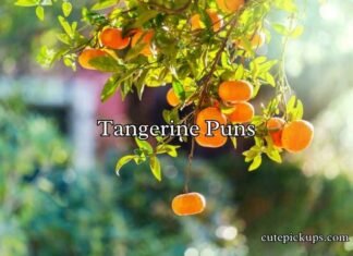 Tangerine Puns Tangerine Puns