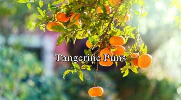 Tangerine Puns Tangerine Puns