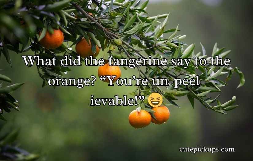 Tangerine Puns