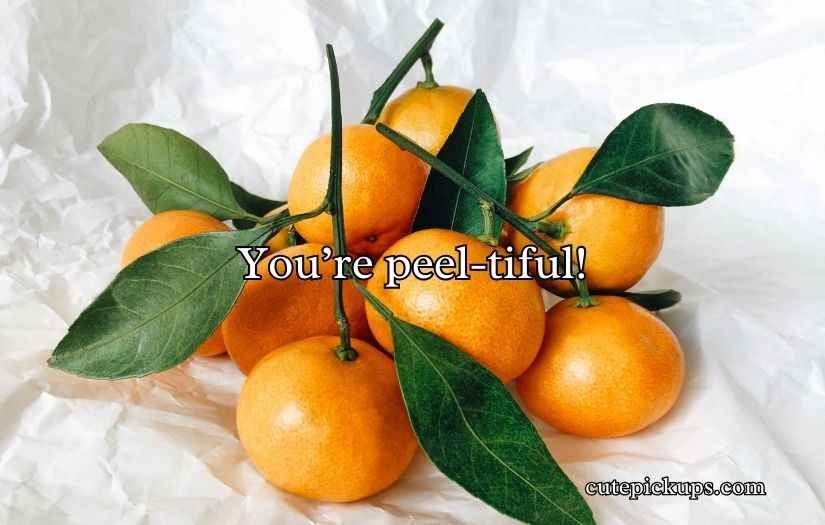 Tangerine Puns