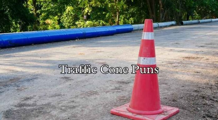 Traffic Cone Puns Traffic Cone Puns