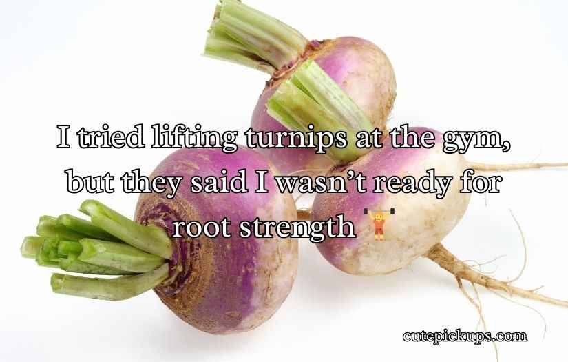 Turnip Puns and Jokes