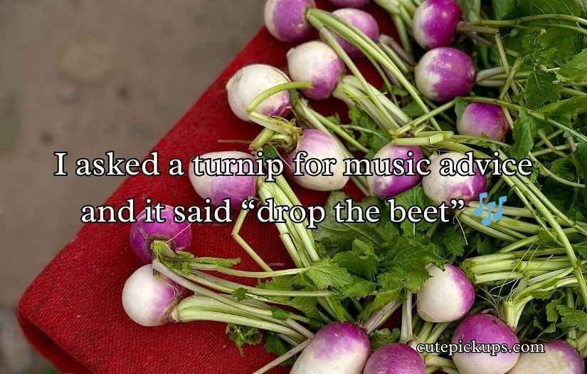 Turnip Puns and Jokes