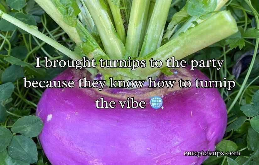 Turnip Puns and Jokes