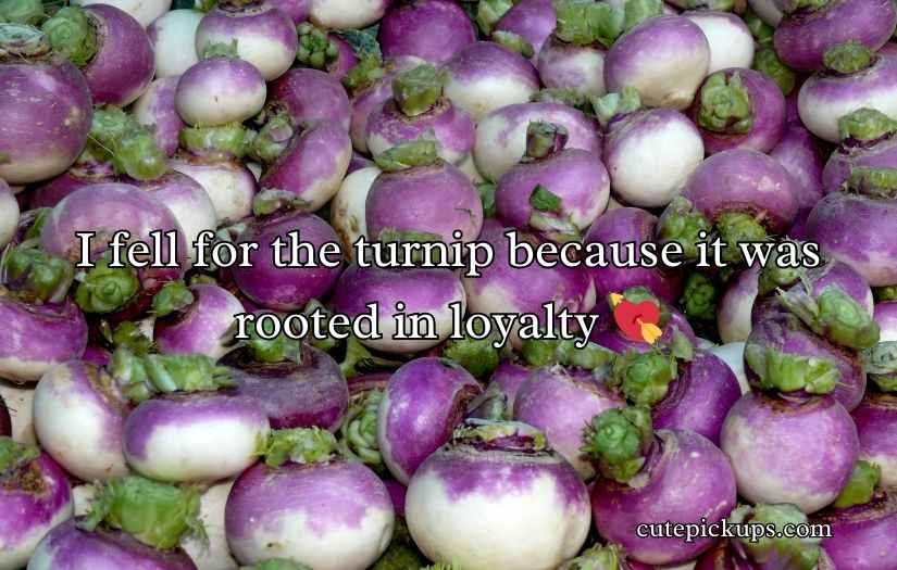 Turnip Puns and Jokes