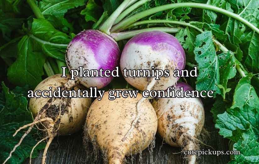 Turnip Puns and Jokes