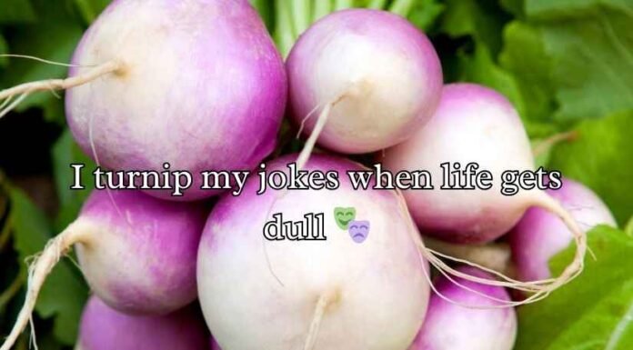 Turnip Puns and Jokes Turnip Puns and Jokes